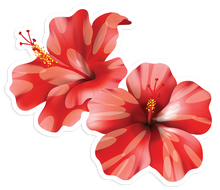 Load image into Gallery viewer, Hibiscus Pair Sticker