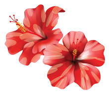 Load image into Gallery viewer, Hibiscus Pair Magnet