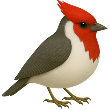 Load image into Gallery viewer, Field-Guide Red-Crested Cardinal Bubble-free sticker