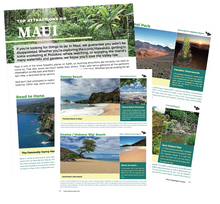 Load image into Gallery viewer, 2026 Maui Essential Visitor Guide
