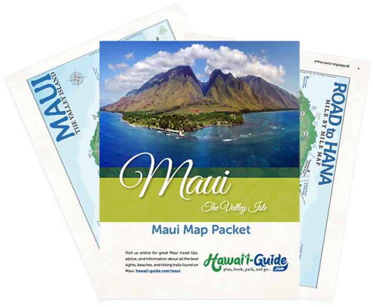 2024 Maui Travel Maps + Summary Guidesheet (Digital) Hawaii Guide