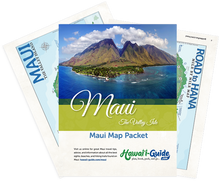 Load image into Gallery viewer, 2026 Maui Travel Maps + Summary Guidesheet (Digital)