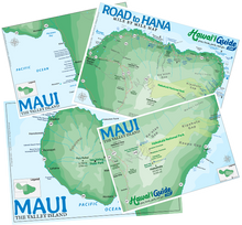 Load image into Gallery viewer, 2024 Maui Essential Visitor Guide
