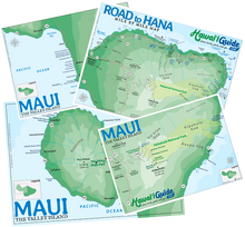 Load image into Gallery viewer, 2026 Maui Essential Visitor Guide