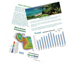 Load image into Gallery viewer, 2026 Maui Essential Visitor Guide