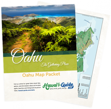 Load image into Gallery viewer, 2026 Oahu Travel Maps + Summary Guidesheet (Digital)