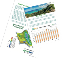 Load image into Gallery viewer, 2026 Oahu Essential Visitor Guide