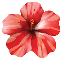 Load image into Gallery viewer, Hibiscus Sticker
