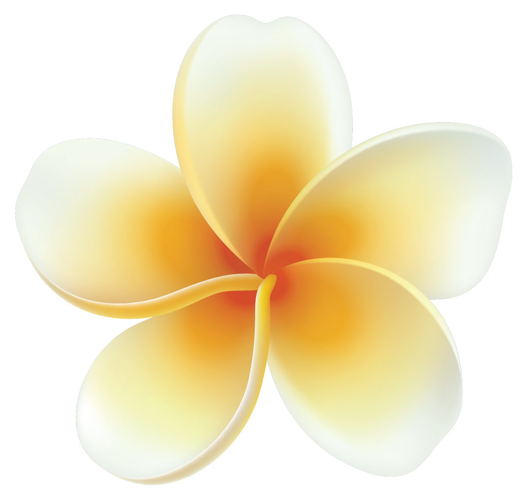 Plumeria Sticker – Hawaii Guide