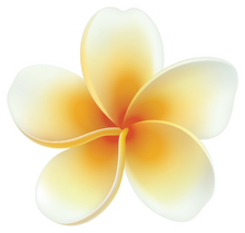 Load image into Gallery viewer, Plumeria Magnet
