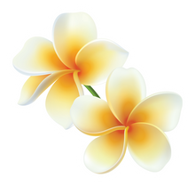 Load image into Gallery viewer, Plumeria Pair Sticker
