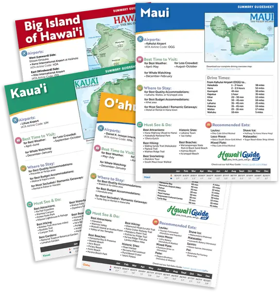 2024 Hawaii Summary Guidesheets Only (Digital) Hawaii Guide