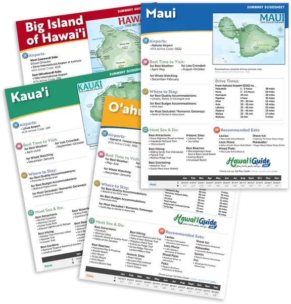 2024 Hawaii Summary Guidesheets Only (Digital)