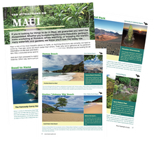 Load image into Gallery viewer, 2024 Maui Essential Visitor Guide
